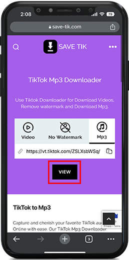 How To Download a TikTok to MP3